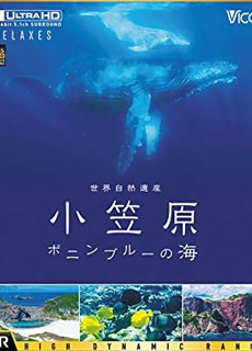 世界自然遗产：小笠原